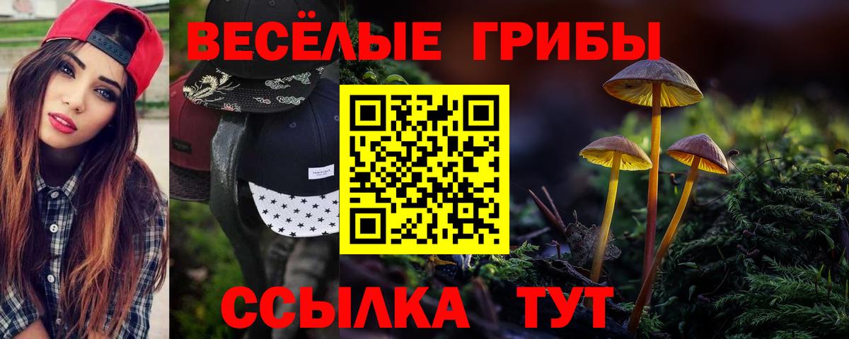 Псилоцибиновые грибы прущие грибы  Вход с VPN  Галлюциногенные грибы ЛСД  Иваново 